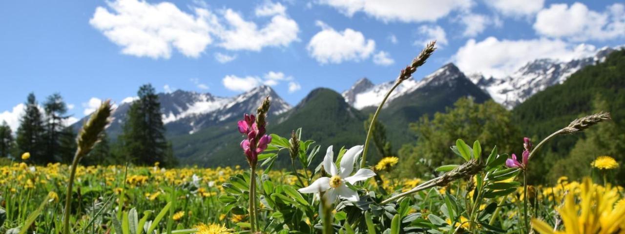 Nice Appt In Briancon Les Charmettes Exteriér fotografie